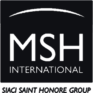 MSH International logo